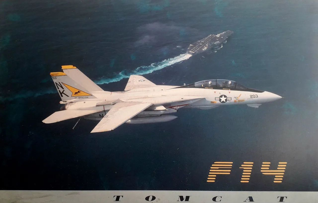 Quadro Pôster Emoldurado F-14 Tomcat