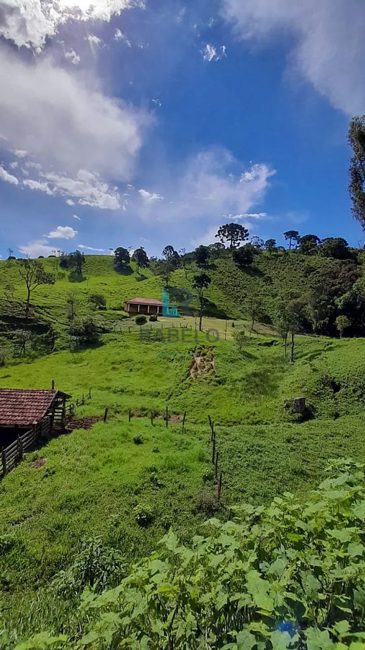 SÍTIO FORMADO EM DELFIM MOREIRA-MG
