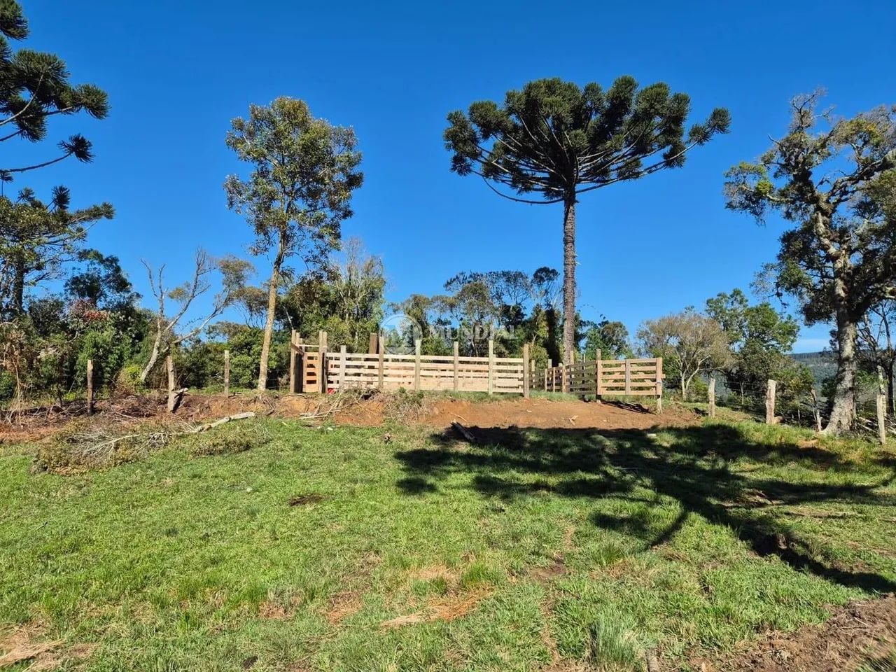 TERRENO RANCHO QUEIMADO 100 HECTARES COM 8MIL PINUS - Foto 4