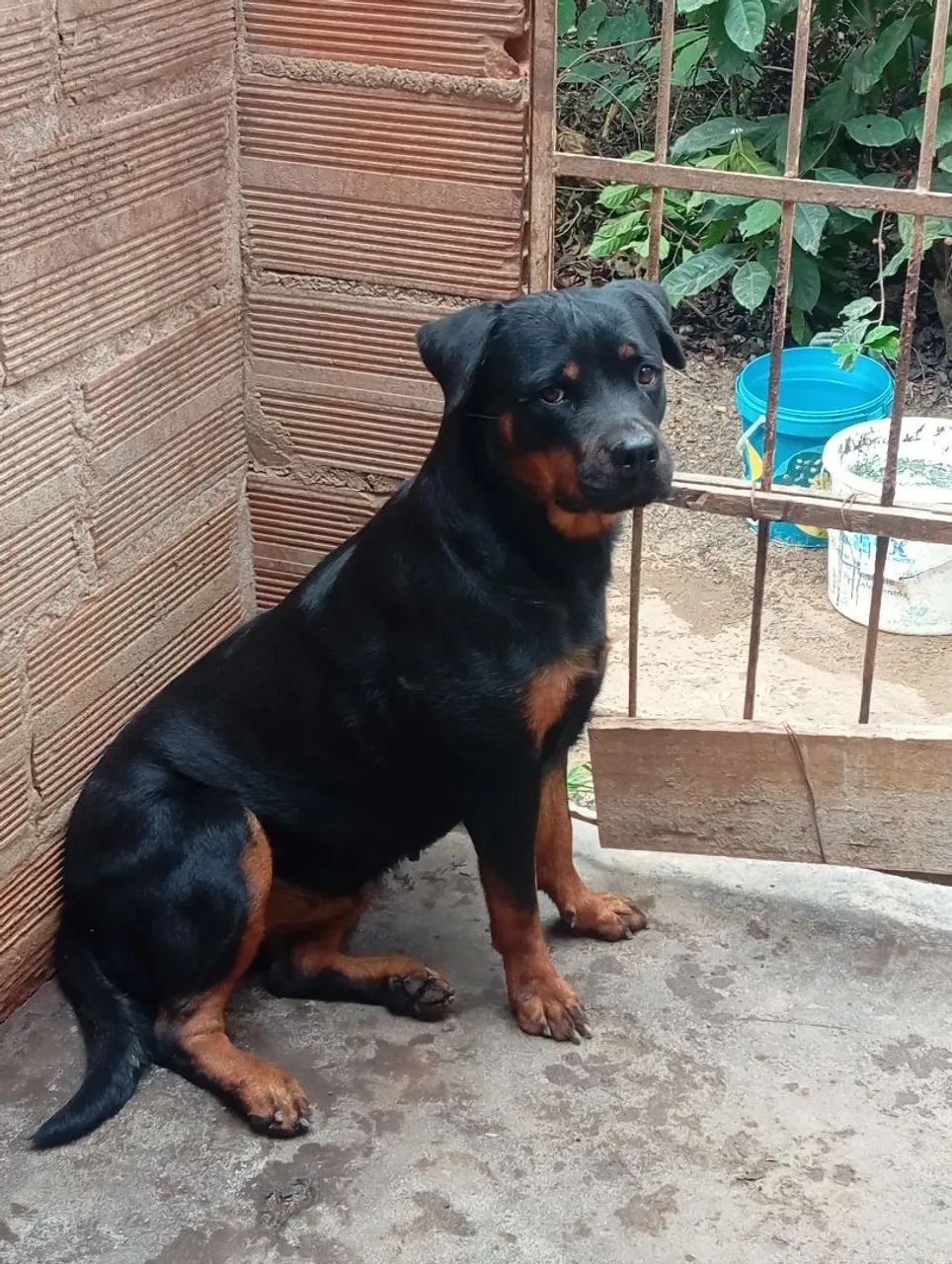 Venda - Foto 3