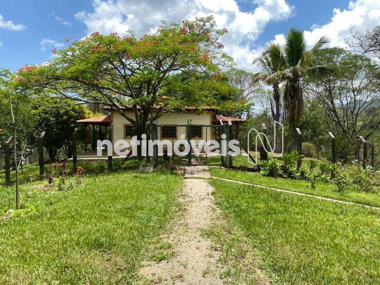Venda Sítio Rural Nova União - Foto 3
