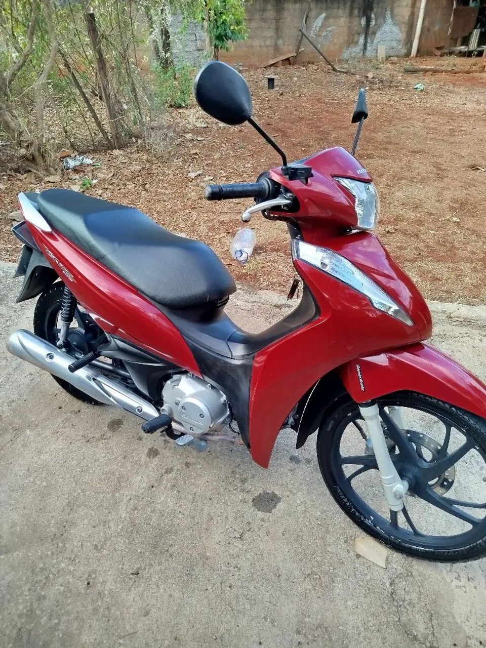 Única dona  - Foto 2