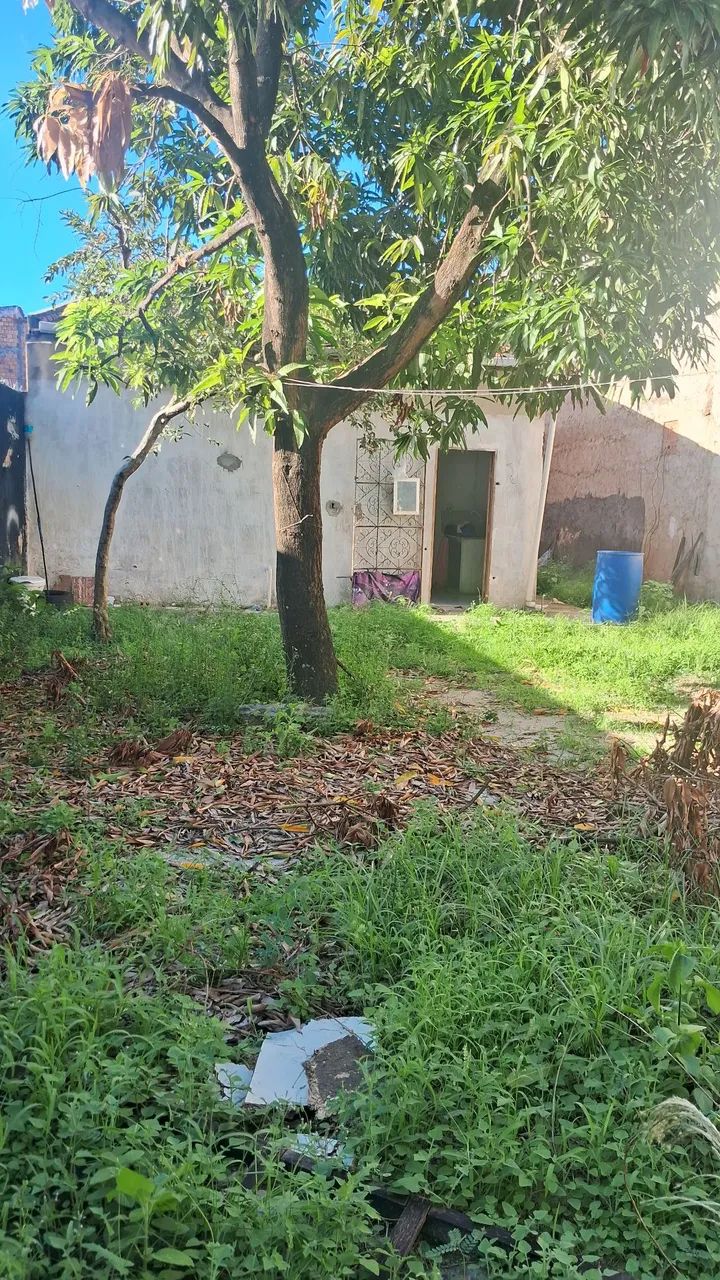 Casa pra vender no santos Dumont  - Foto 2