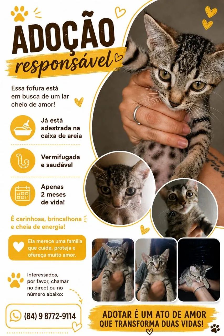 Adoção Responsável 