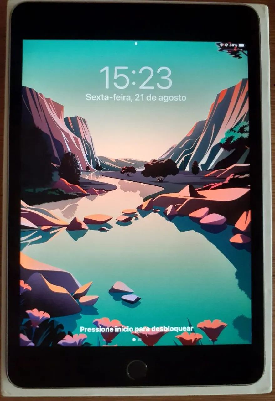 iPad mini 4 A1538 128gb
