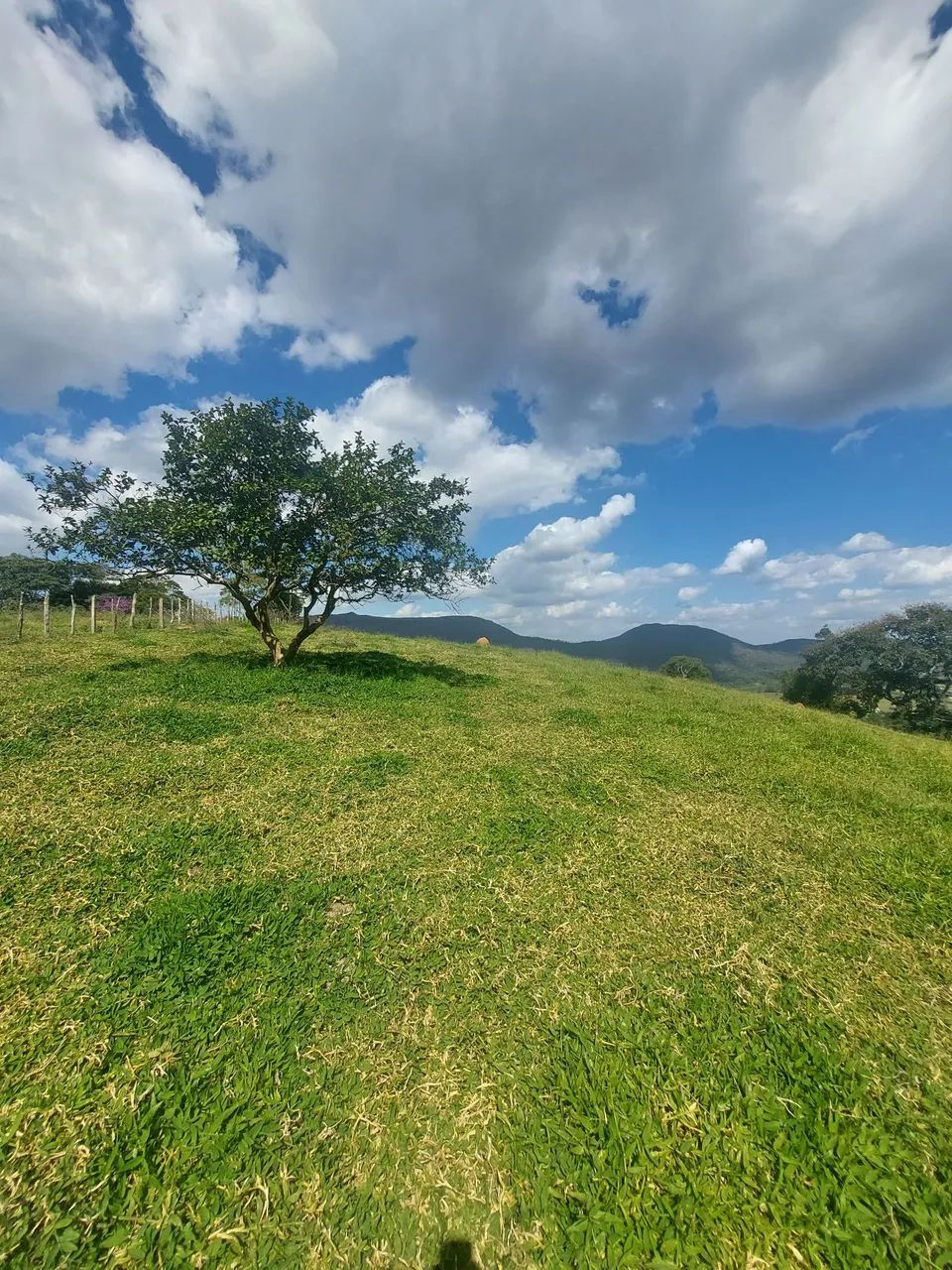 Imóvel rural são thomé das letras  - Foto 2