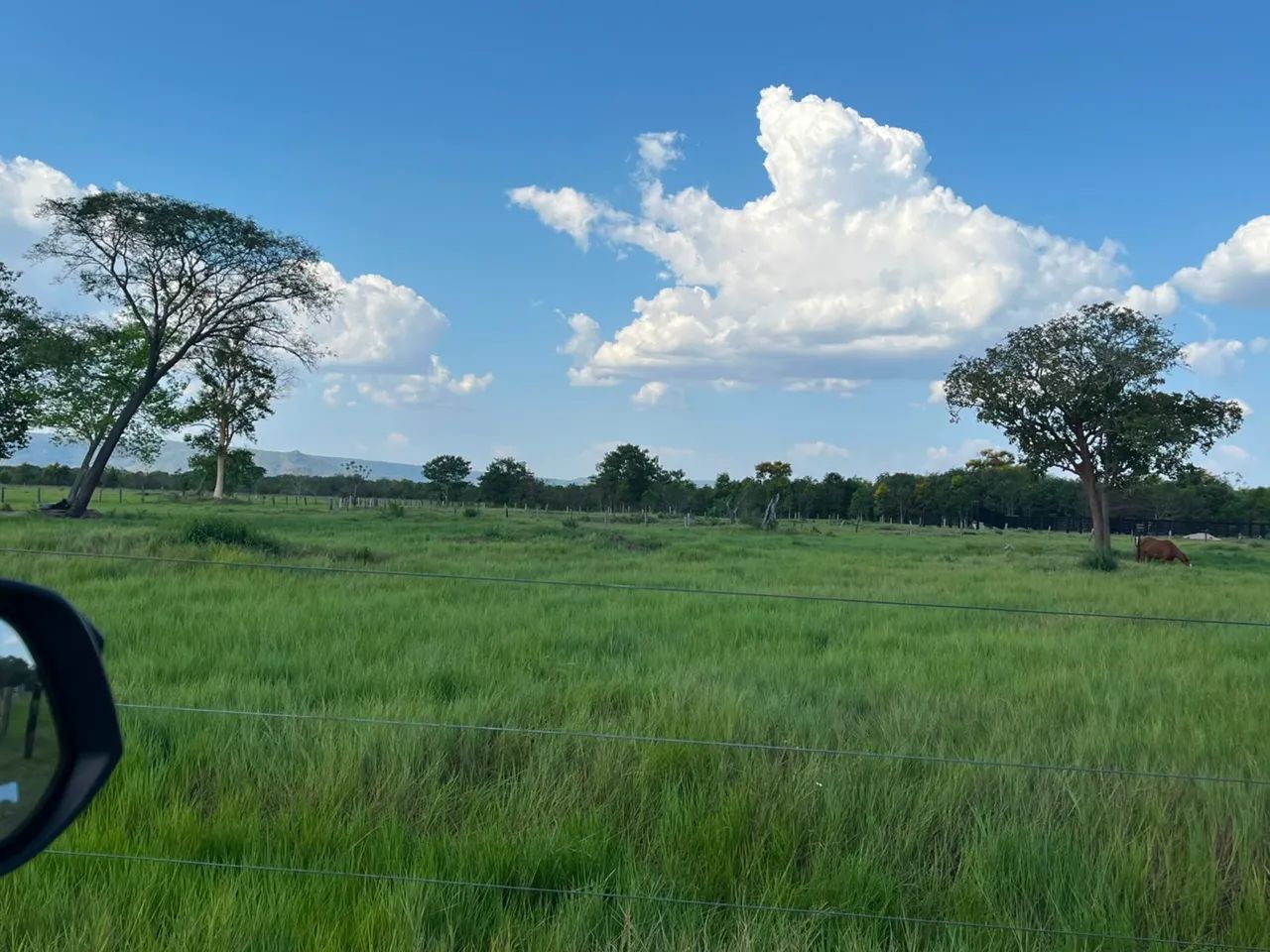Fazenda aptidão pecuária a 140 km de Cuiabá  - Foto 2