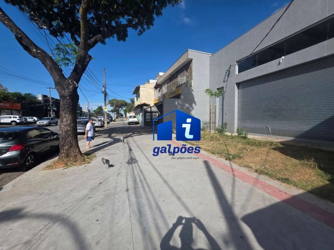Galpão com 300 m² no Rio Branco - Belo Horizonte/MG - Foto 3