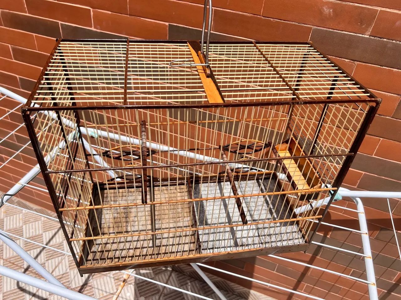 Gaiola criadeira/voador - Foto 2