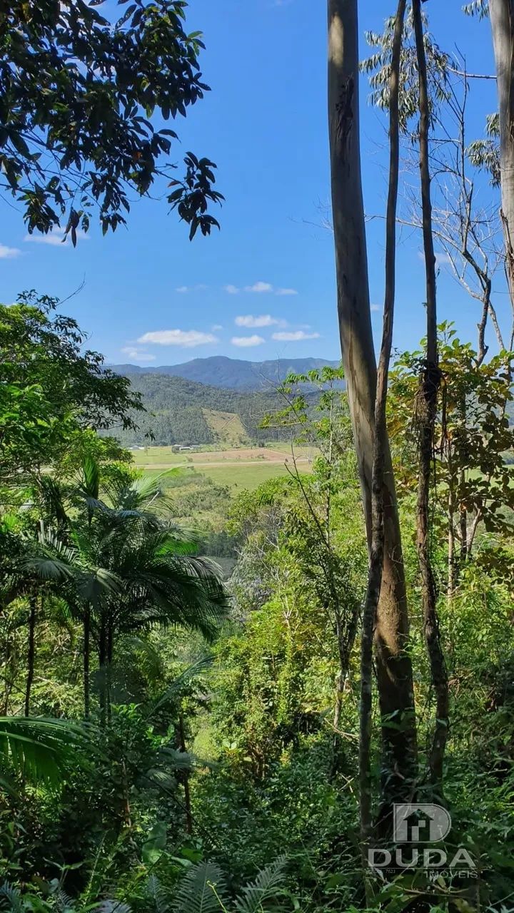 Terreno rural 2000m² em biguaçu - Foto 5