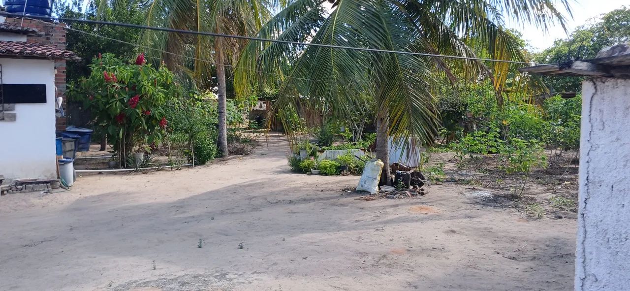 Chácara ou granja sítio  - Foto 3