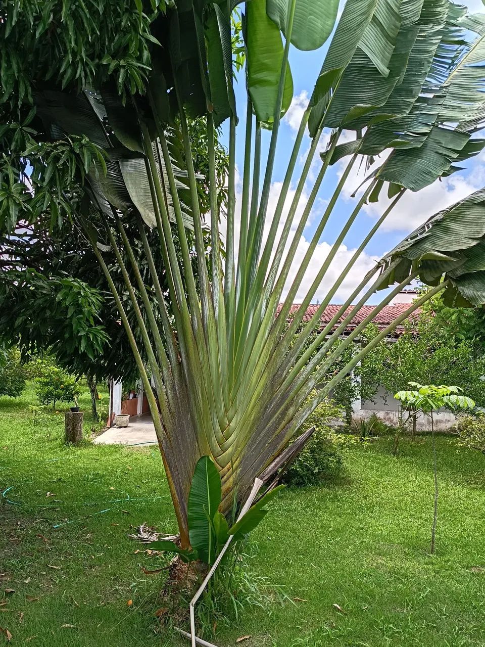 Vendo ou Troco  - Foto 2