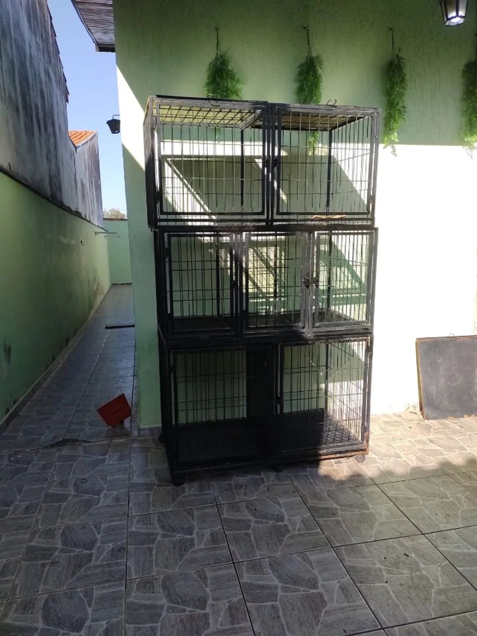 Canil Gaiola - Foto 2