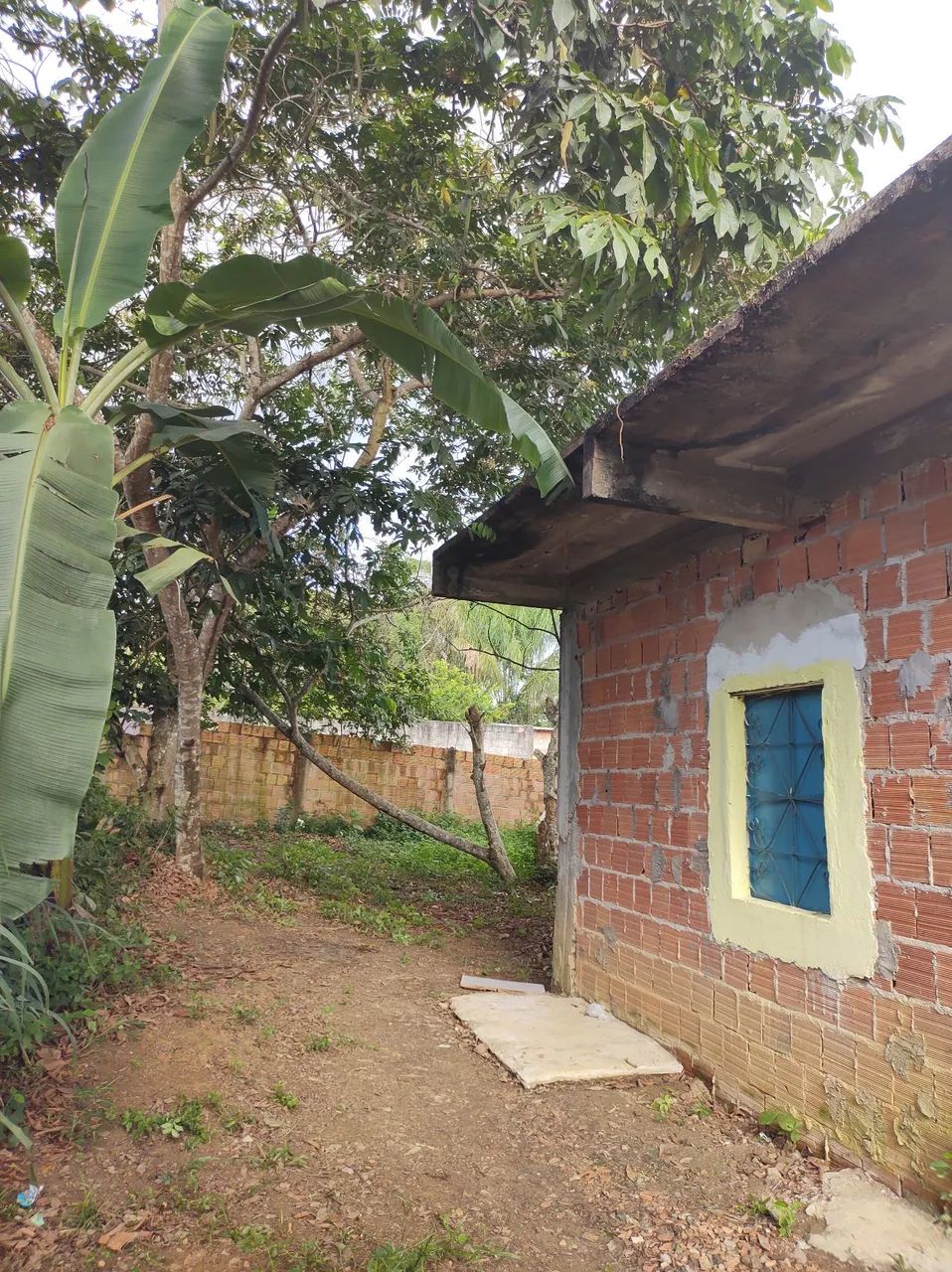Não  - Foto 5