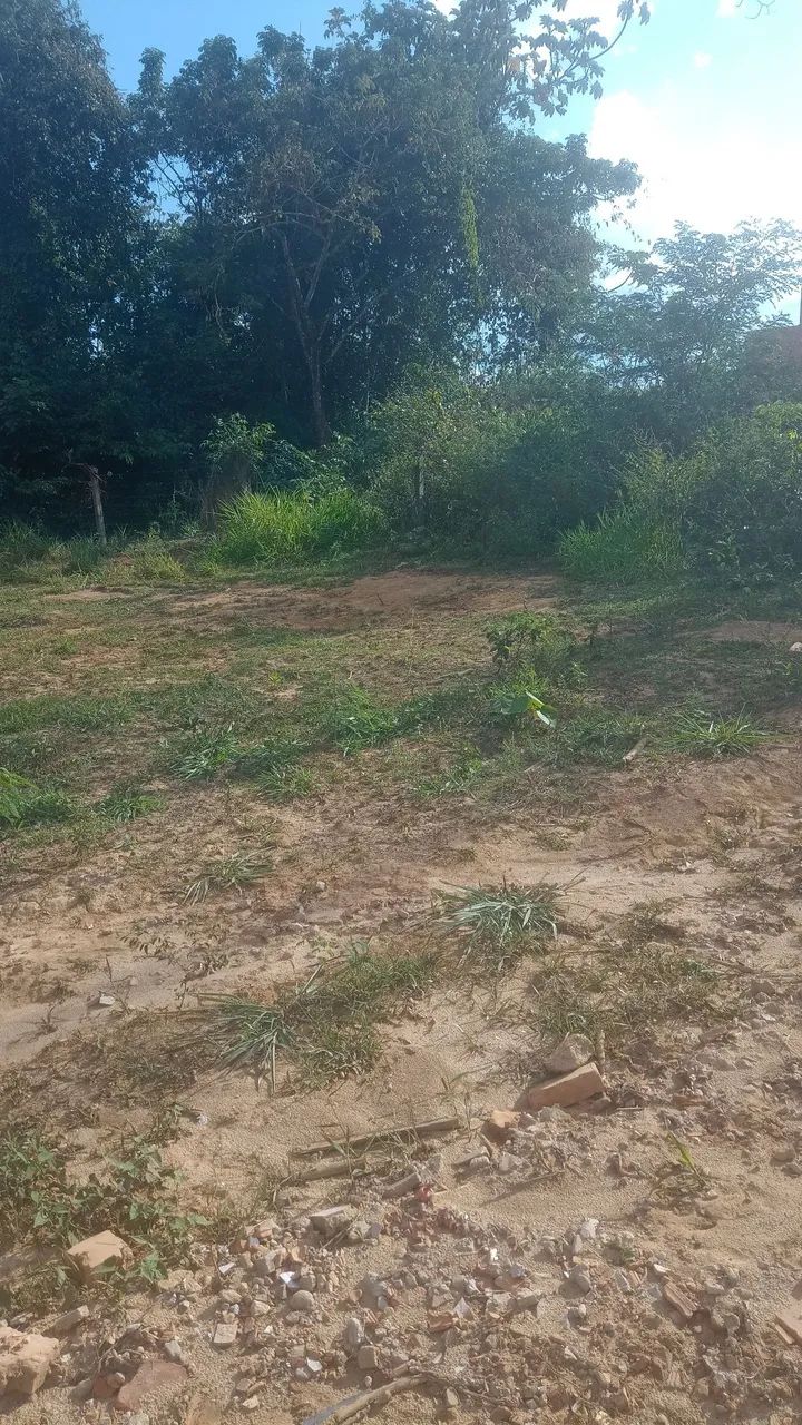 Vendo terreno 10×25  - Foto 4