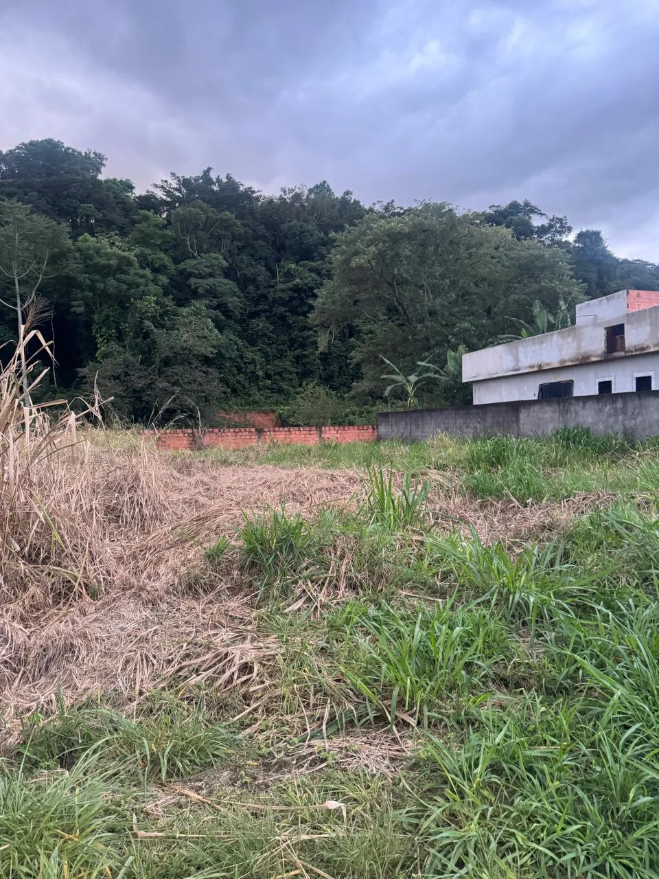 Terreno 360m2 - Foto 3