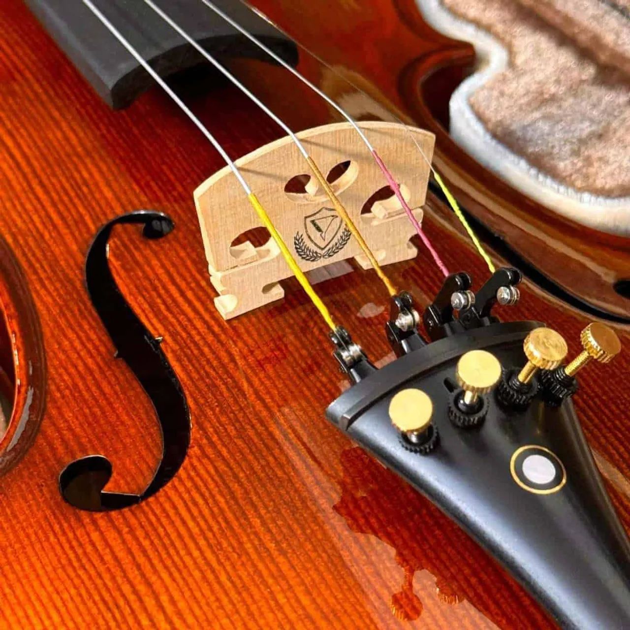 Violino Profissional Eagle VK544 Novo Com Nota Fiscal  - Foto 5