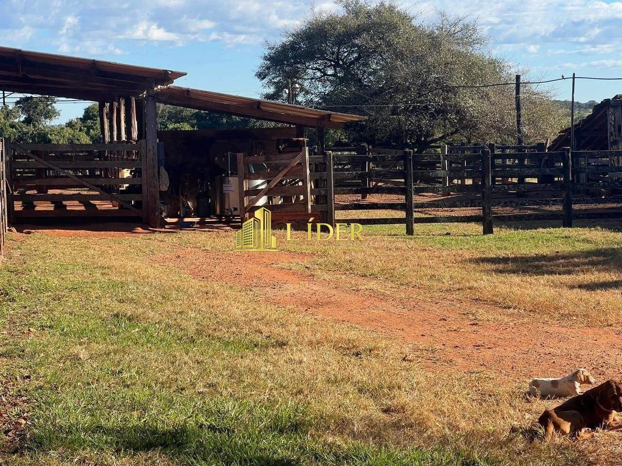 Fazenda à venda, AREA RURAL DE ARAGUARI - Araguari/MG - Foto 5