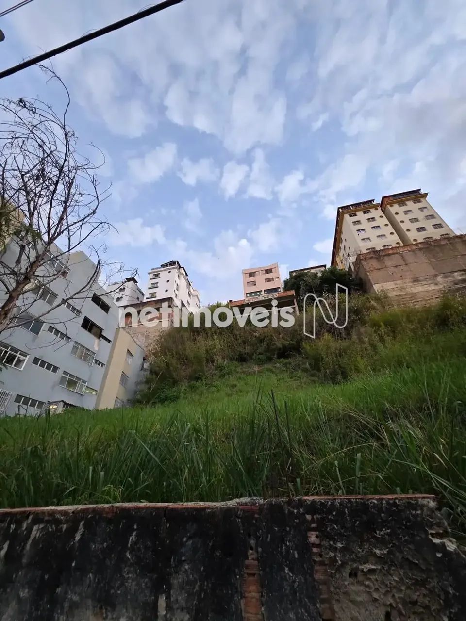 LOTE NOVO SÃO LUCAS - Foto 6