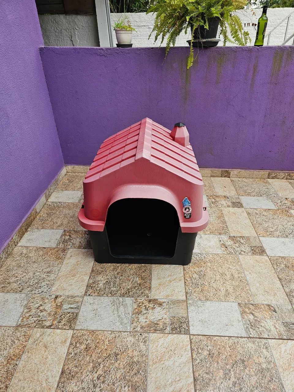 Casinha de cachorro grande porte - Cachorros - Capela Velha