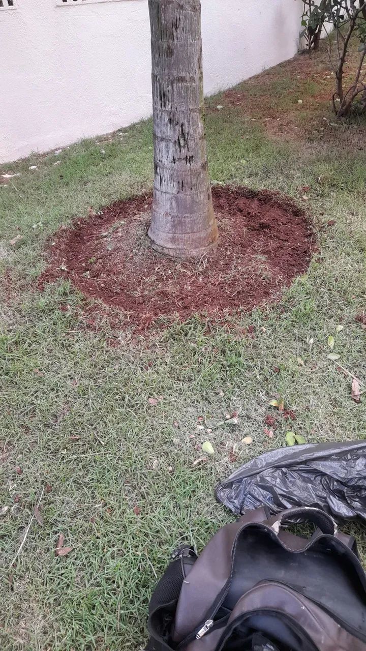 Jardineiro e paisagista com CNPJ trabalhamos com Residêncial e Empresas - Foto 5