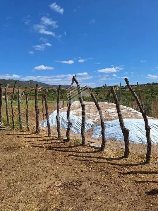 Fazenda com 140 Hectares à venda em Vertentes/PE! - Foto 4