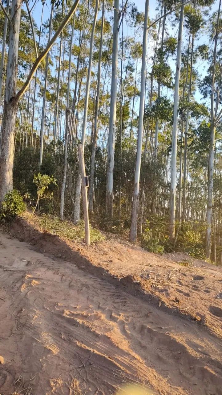 Chácara Domingos Martins ES  - Foto 4