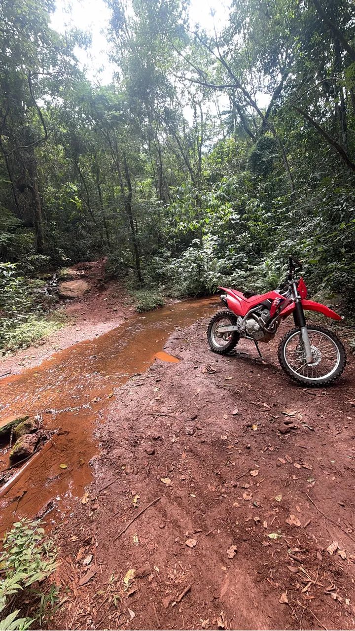 Crf 250f 2025  - Foto 2
