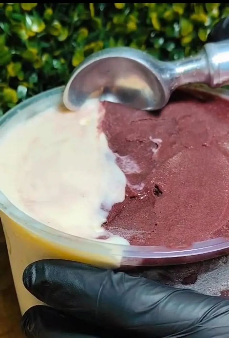 Potes 1 litro açai e sorvete  - Foto 3