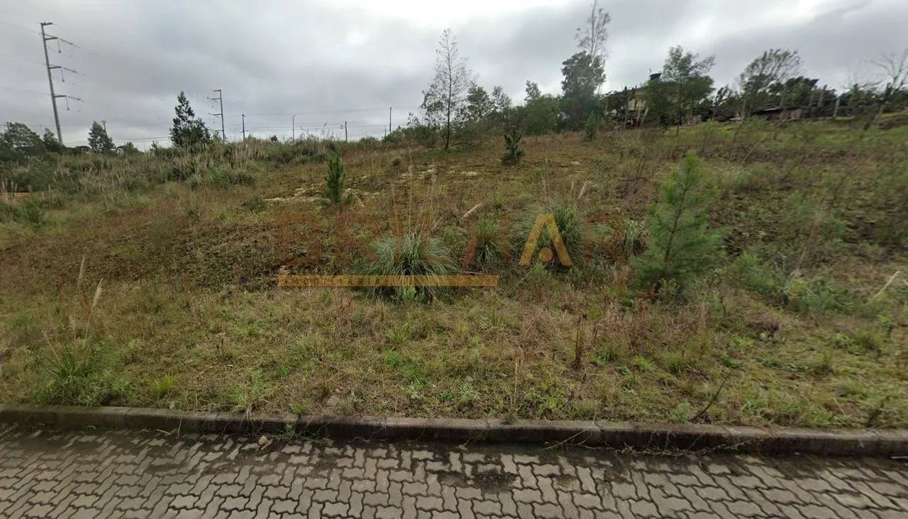 Terreno comprar bairro Ana Rech - Foto 2