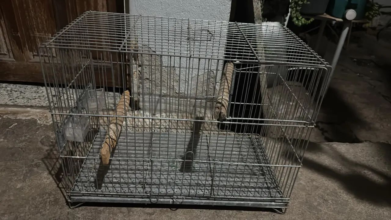 Vendo gaiola de calopsita periquitos e etc... - Foto 2