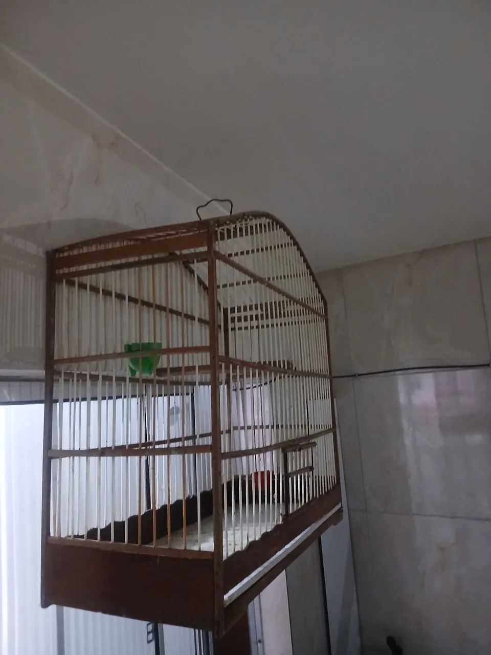 Gaiola - Foto 2