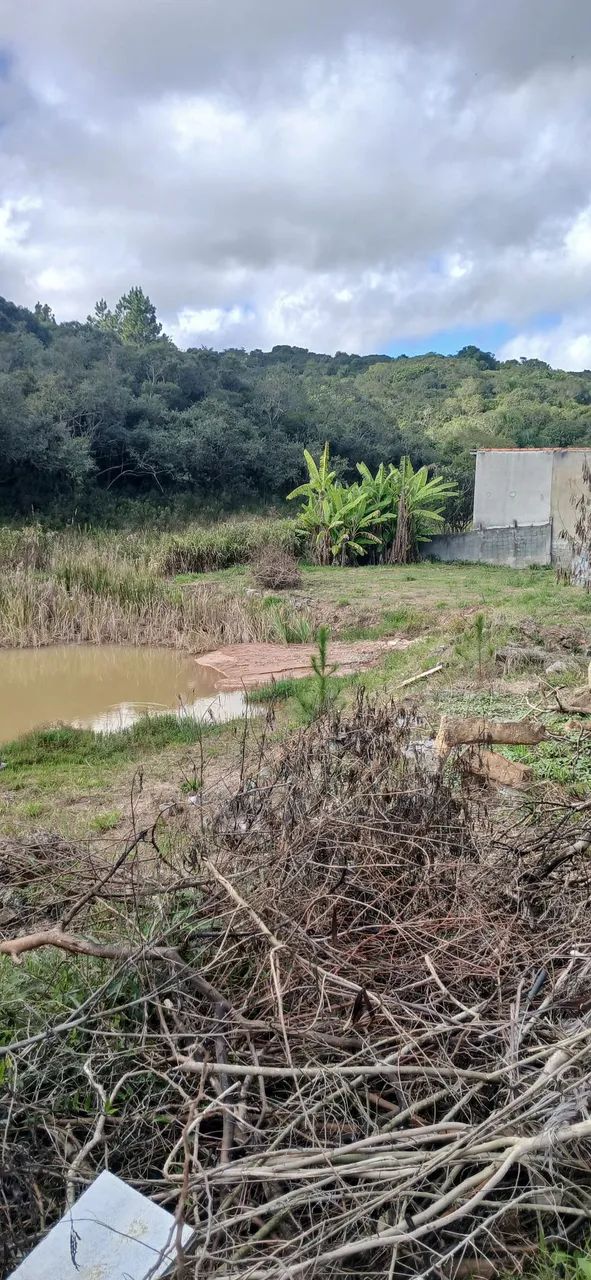 Foto - Cotia - Granja Viana