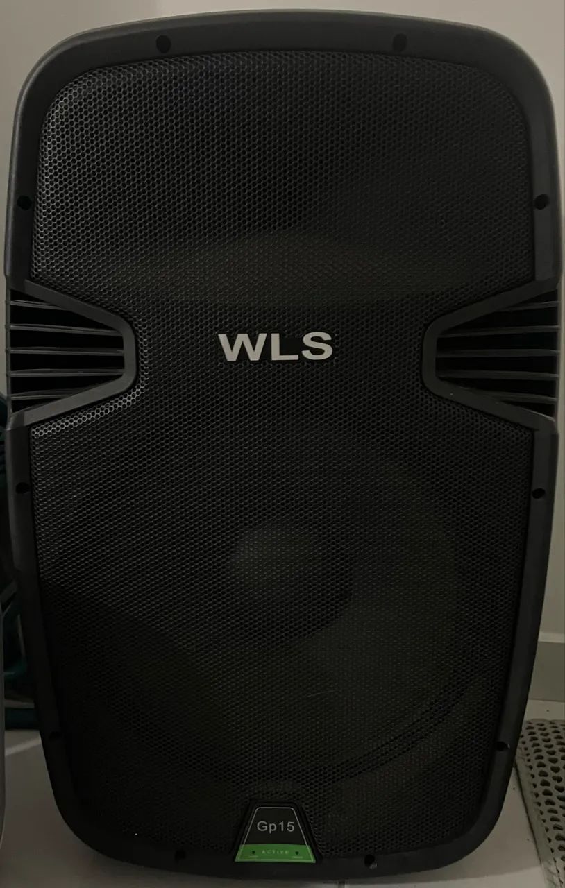 Caixa de som profissional WLS Gp15