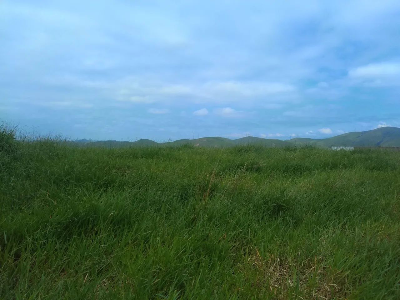 Foto - Itatiaia - 