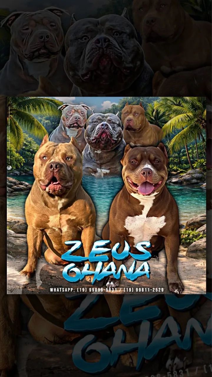 Filhotes de Pit Monster