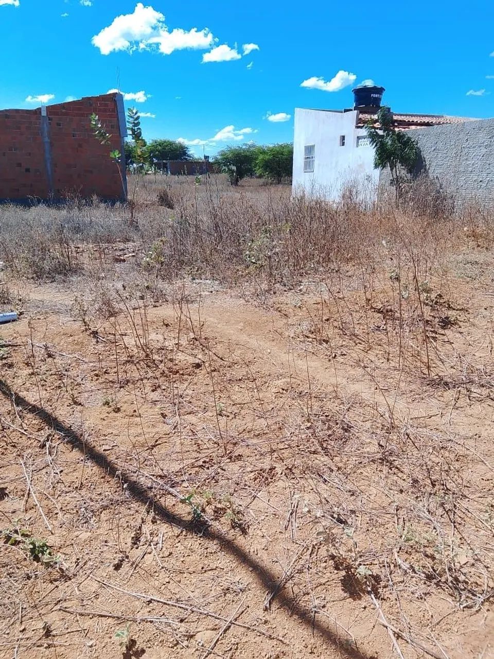 Lote Cocão Irecê/Lapão  - Foto 3