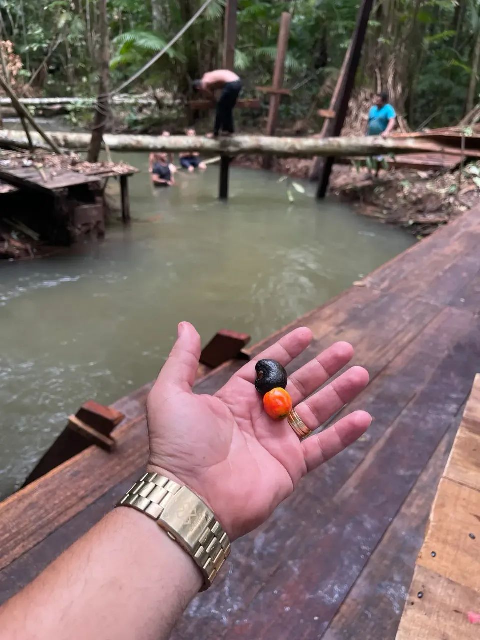 Terreno com Igarapé parcelado no Boleto! - Foto 2