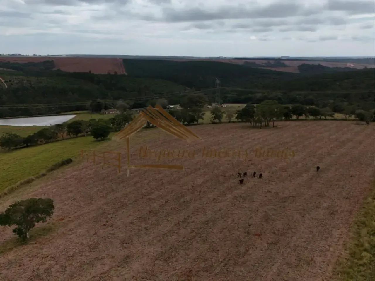 Fazenda com 152 alqueires na região de Buri-SP - Foto 4