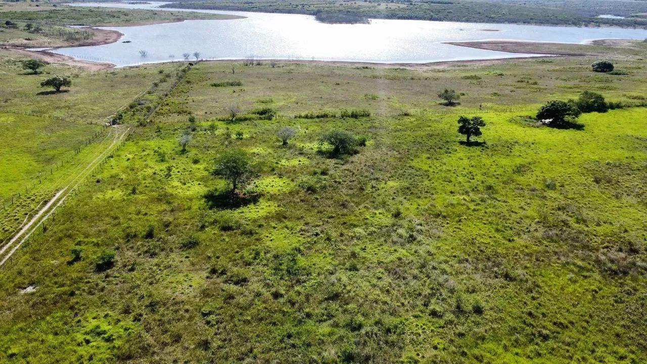 Fazenda com 150 hectares em Macaiba - Foto 4