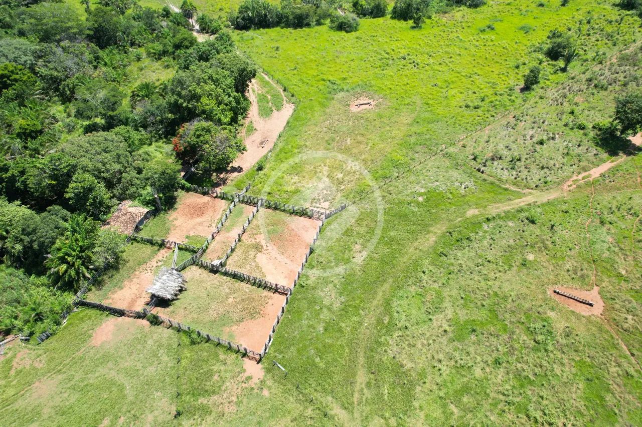 Fazenda à Venda em Jussara-GO codigo: 332899 - Foto 2