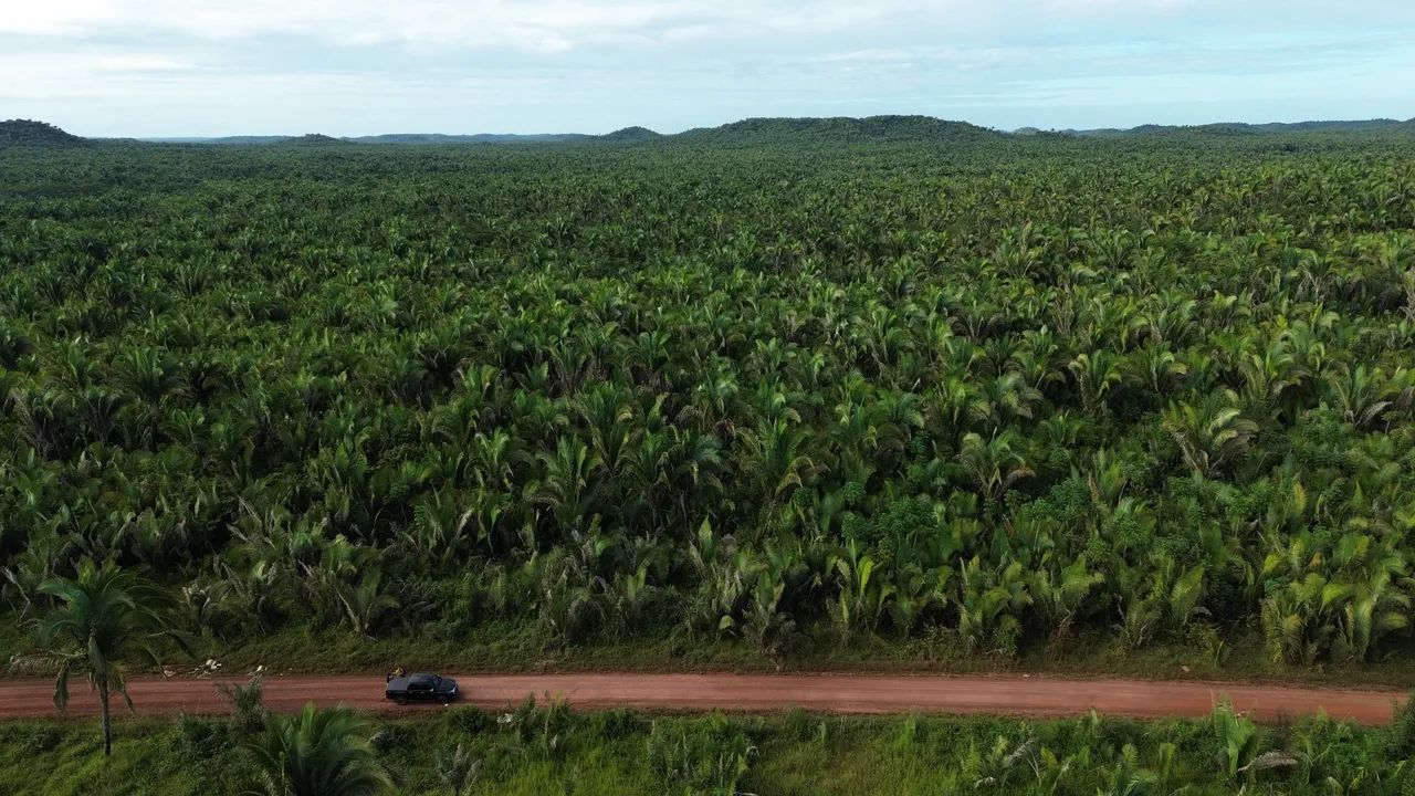 Terra em Presidente Vargas  - Foto 4
