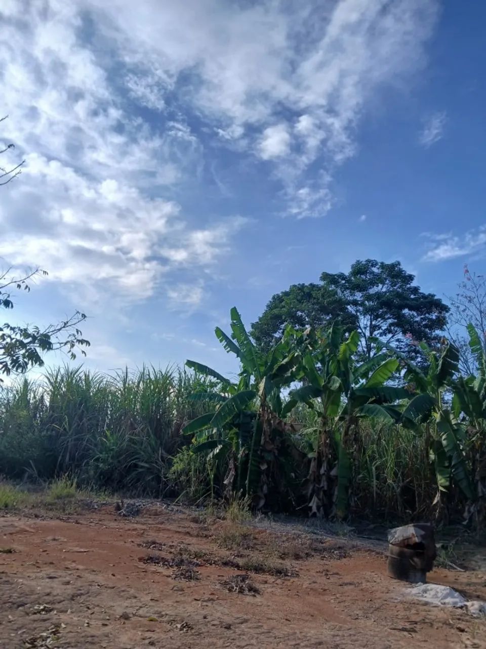 Chácara 1 alqueire  - Foto 5