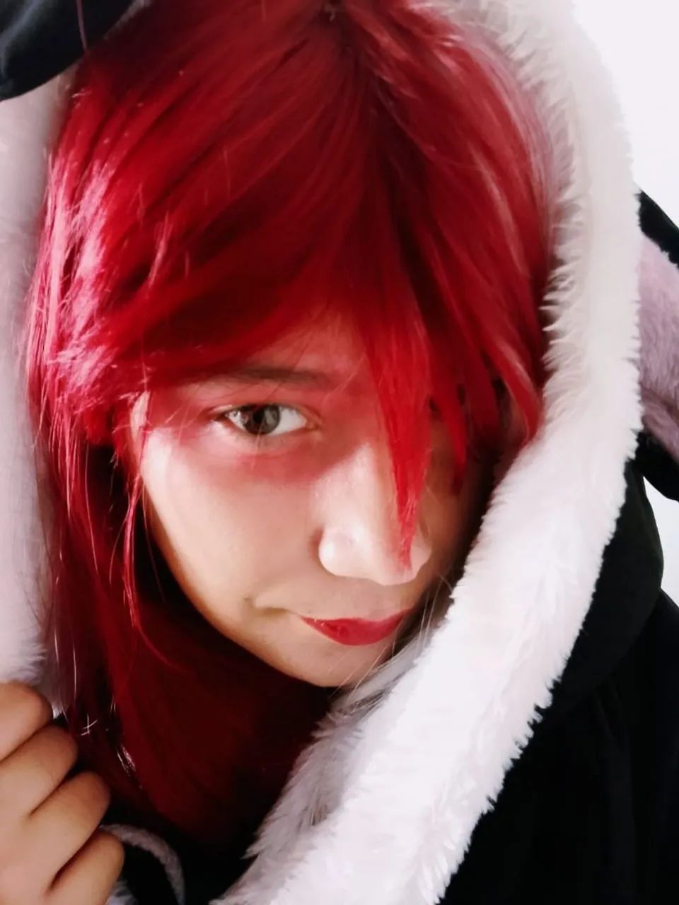 Peruca Todoroki - Versão Feminina Cosplay - Foto 2