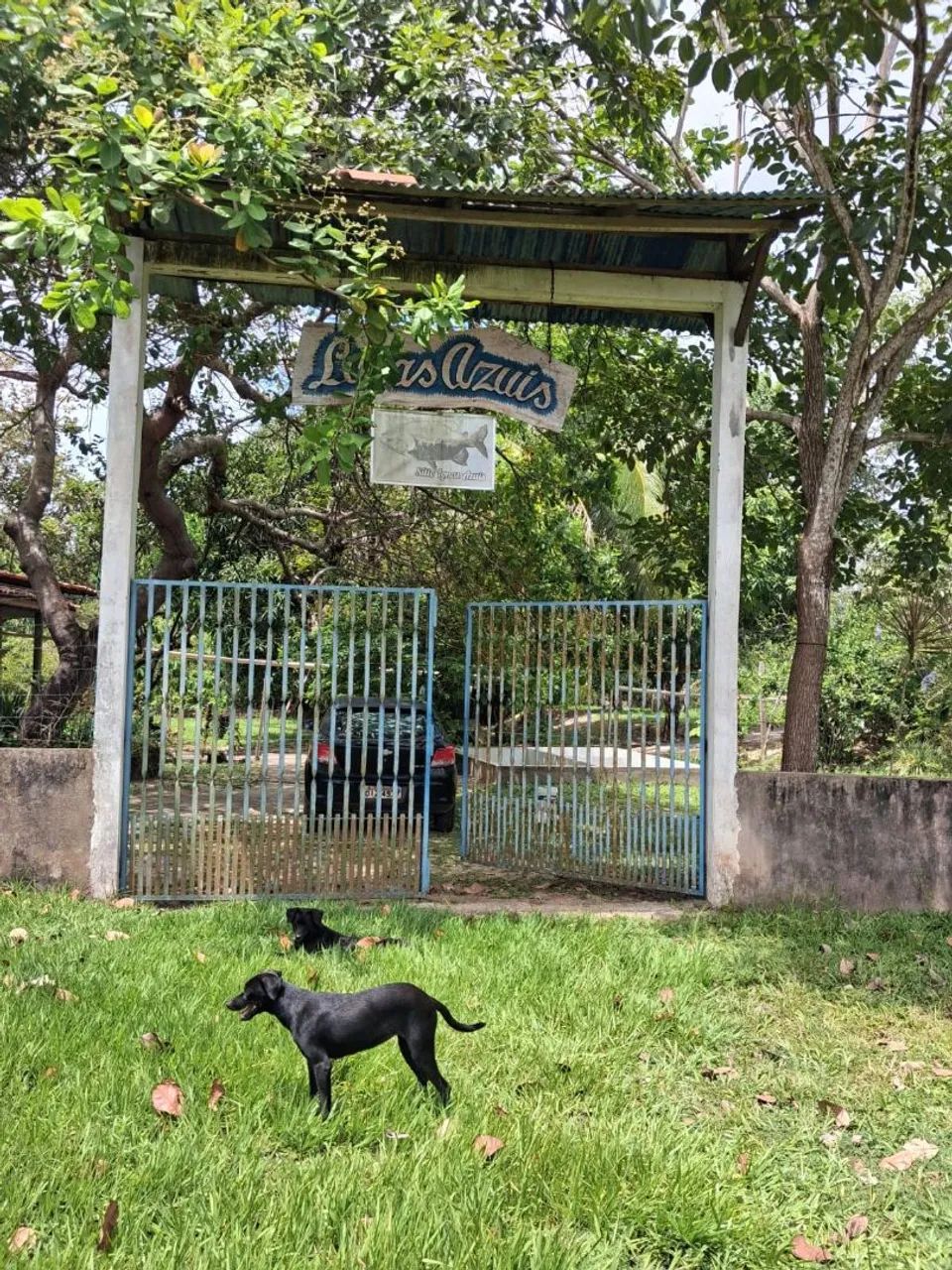 Vendo Sítio na Estiva