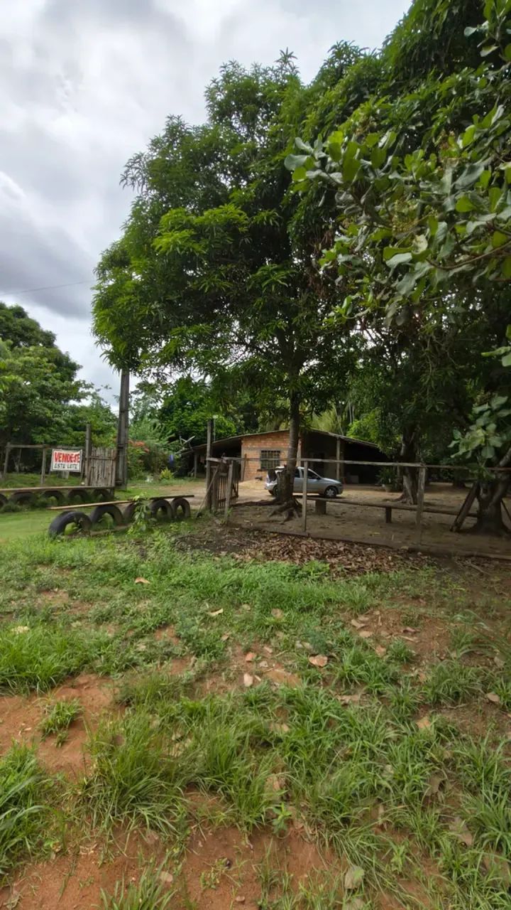 fazenda grande no canta - Foto 3