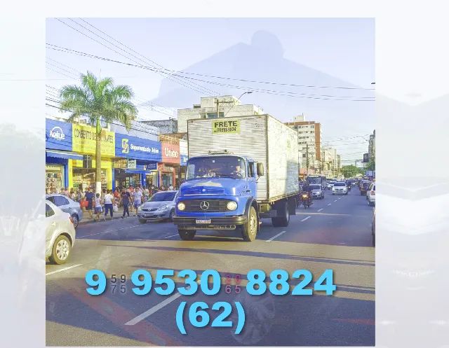 Frete! rápido e seguro: mudanças em Nova Vila, Parque Lago, Setor Leste!