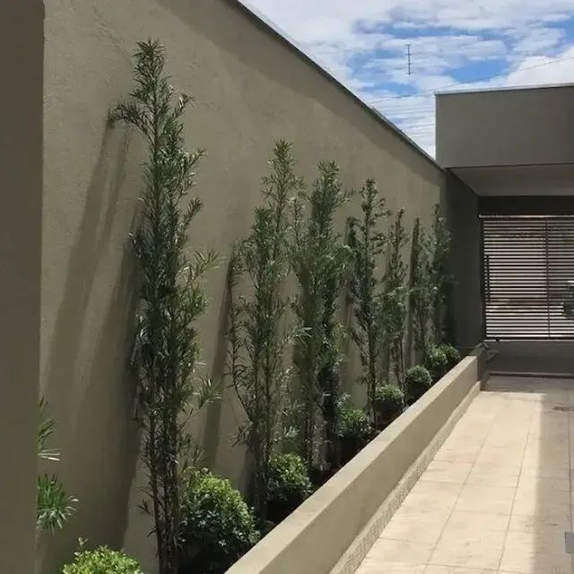 Sou JARDINEIRO  - Foto 2