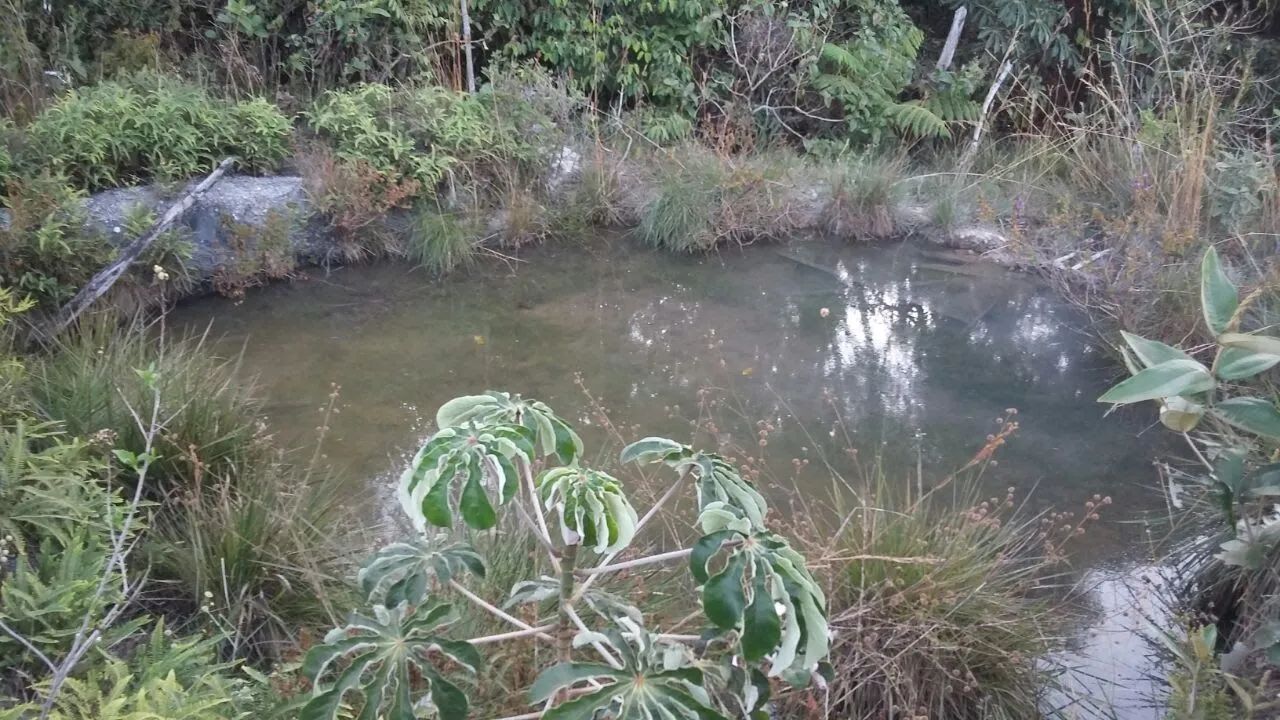 SÍTIO DOS SONHOS COM 60 HECTARES. - Foto 4