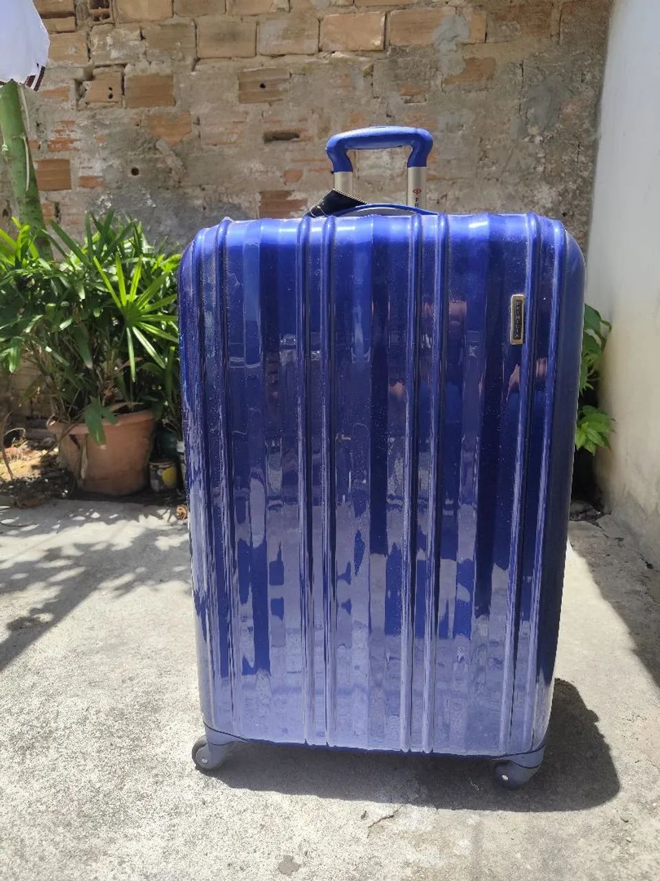Mala grande primícia 
